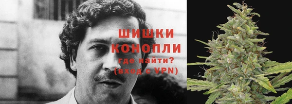 круглые Абаза