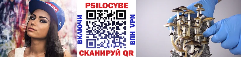 как найти наркотики  Вытегра  сайты даркнета официальный сайт  Псилоцибиновые грибы мицелий 